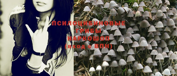 мяу мяу мука Алзамай