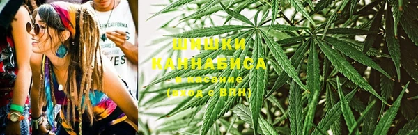 мяу мяу мука Алзамай
