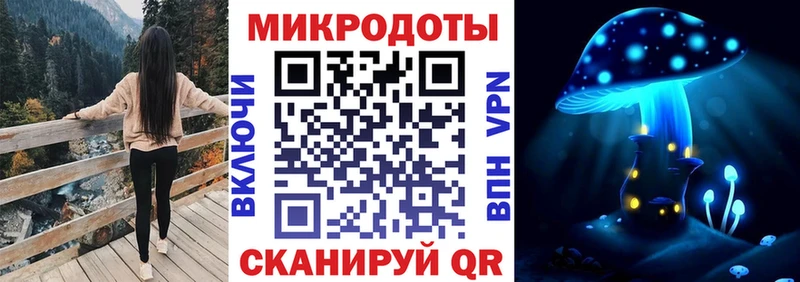 что такое наркотик  Полевской  Псилоцибиновые грибы Psilocybine cubensis 